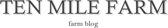 TEN MILE FARM                   
farm blog
